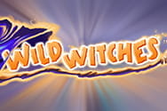 Wild Witches